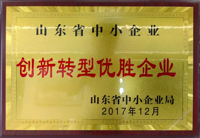 SME innovation and transformation award