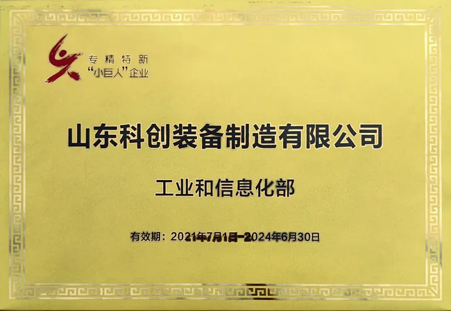 Specialized enterprise certificate