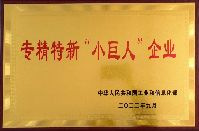 Specialized enterprise award