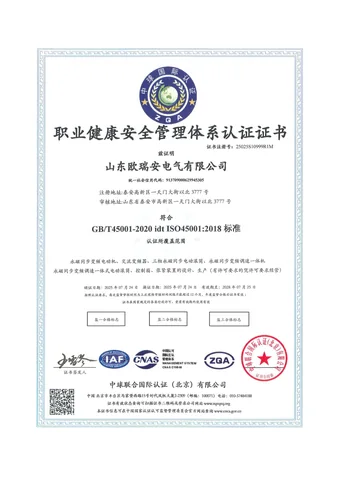 ISO 45001:2018 occupational health and safety