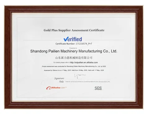 SGS supplier assessment — 2025–2026